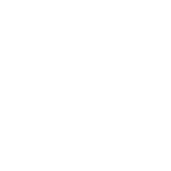 Netsys Digital Solutions Logo